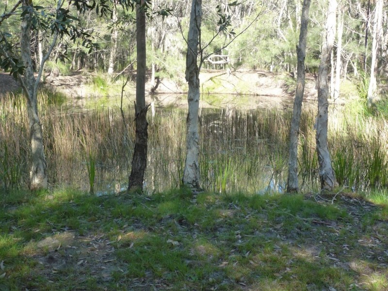 11 Tamarine Court, Cooroibah QLD 4565