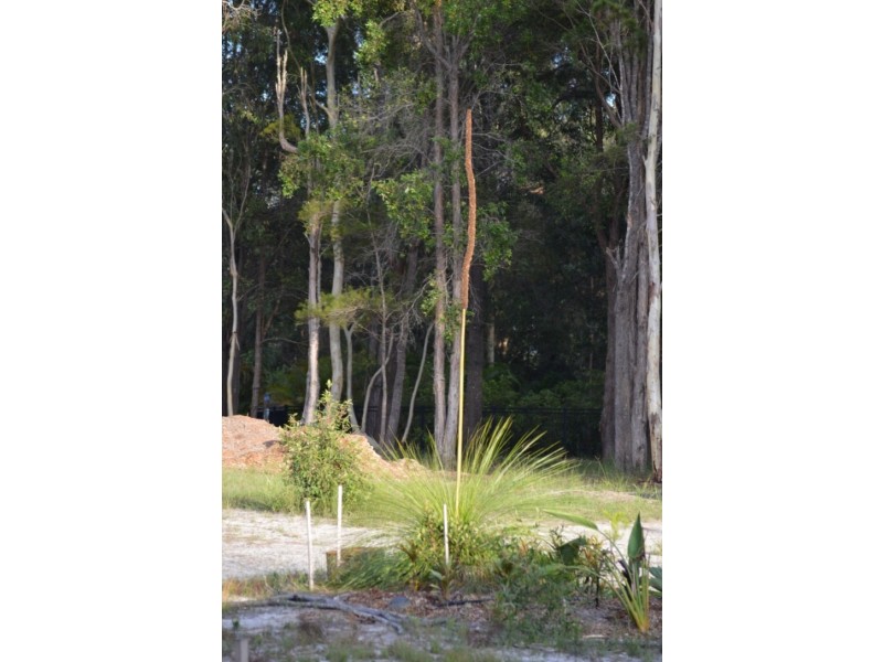 44 Coral Fern Drive, Cooroibah QLD 4565