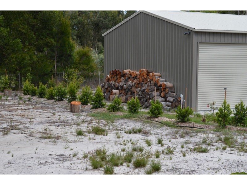 44 Coral Fern Drive, Cooroibah QLD 4565