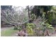 9 Old Coach Way, Lake Macdonald QLD 4563