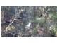 9 Old Coach Way, Lake Macdonald QLD 4563