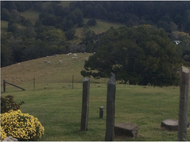 43 Wust Road, Cooroy QLD 4563