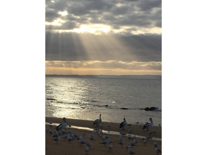 47 Whytecliffe Parade, Woody Point QLD 4019