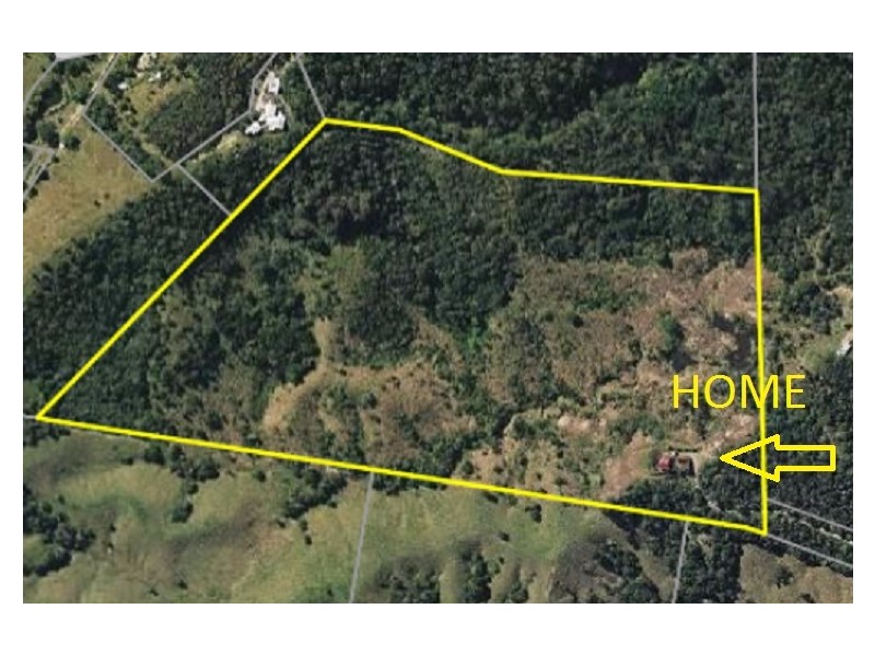 Eumundi QLD 4562
