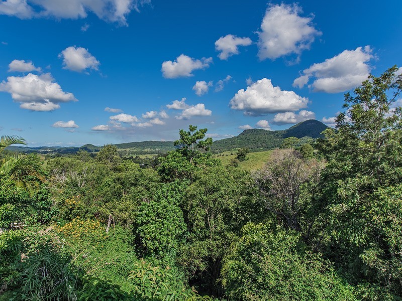 Eumundi QLD 4562