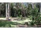 36 Tallgum Ave, Doonan QLD 4562