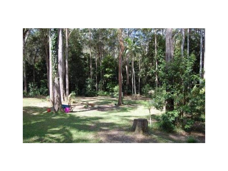 36 Tallgum Ave, Doonan QLD 4562