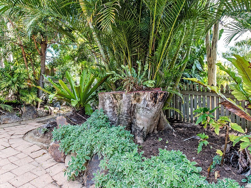 11 Moilow Court, Tewantin QLD 4565