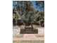 33 Peachtree Crescent, Peregian Springs QLD 4573