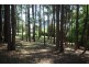 Lot 8 Summit Road, Pomona QLD 4568