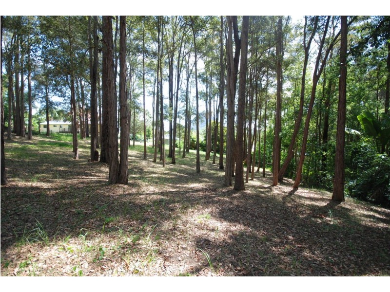 Lot 9 Summit Road, Pomona QLD 4568