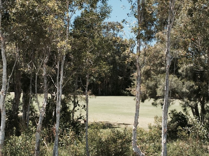 Lot 4419 Balgownie Drive, Peregian Springs QLD 4573