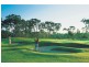 8 Greenside Court, Peregian Springs QLD 4573