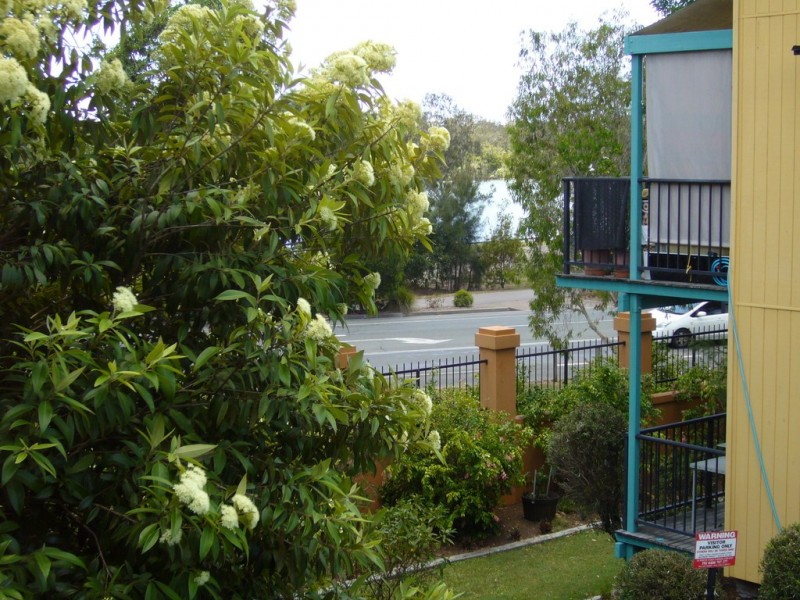 577, 578/3 Hilton Terrace, Tewantin QLD 4565