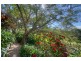 22 Bonavista Crescent, Doonan QLD 4562