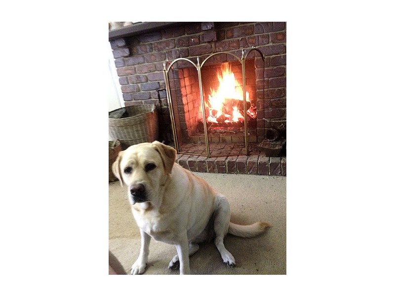 Verrierdale QLD 4562