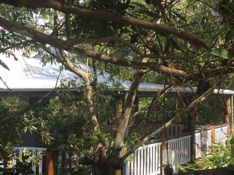 3 Ranger Court, Sunrise Beach QLD 4567