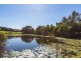 8 Eagleford Court, Peregian Springs QLD 4573