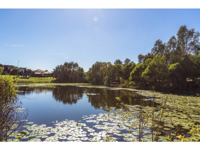 8 Eagleford Court, Peregian Springs QLD 4573