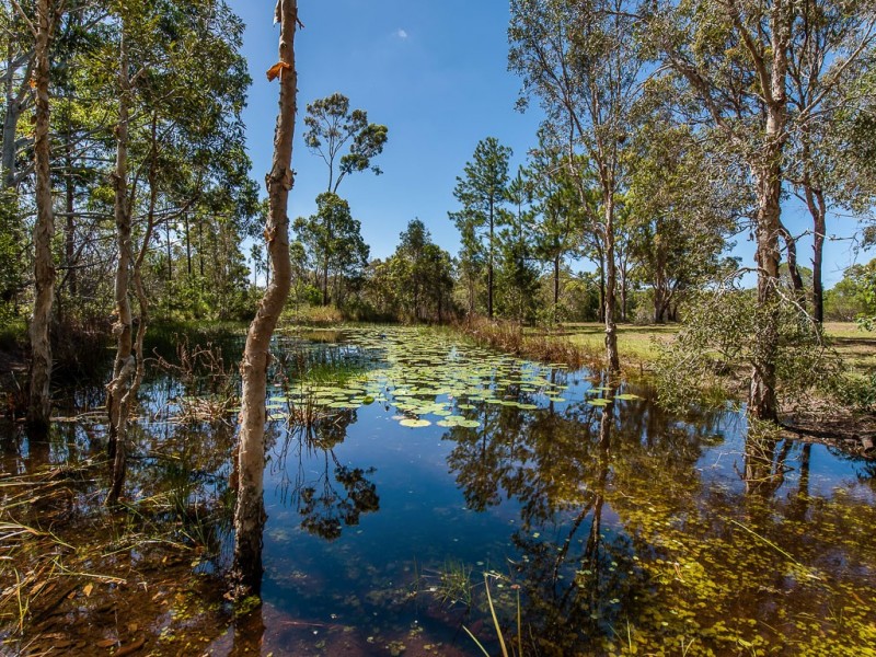 4 Illoura Place, Cooroibah QLD 4565