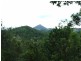 1353 Eumundi Noosa Road, Eumundi QLD 4562
