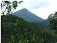 1353 Eumundi Noosa Road, Eumundi QLD 4562