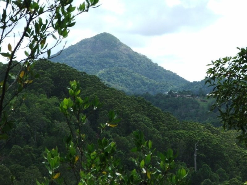 1353 Eumundi Noosa Road, Eumundi QLD 4562