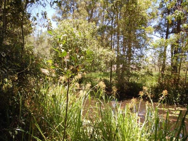 37 Bonavista Crescent, Doonan QLD 4562