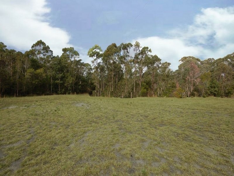 22 Aspera Place, Noosaville QLD 4566