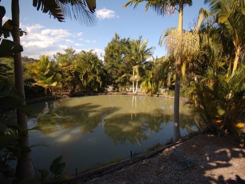 60 Patterson Drive, Tinbeerwah QLD 4563