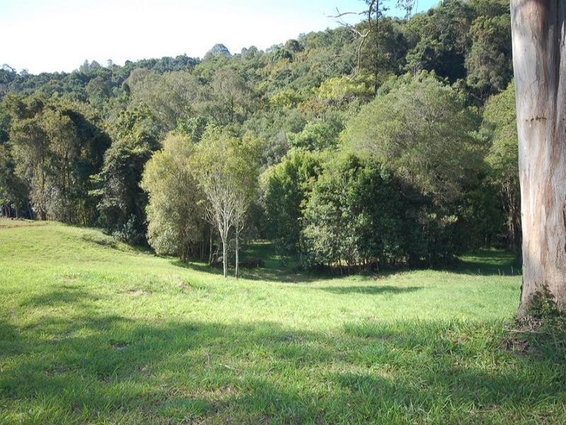 49 Whispering Gum Avenue, Eumundi QLD 4562