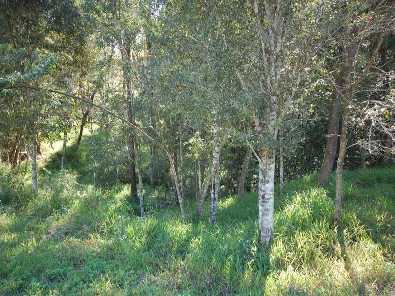 49 Whispering Gum Avenue, Eumundi QLD 4562