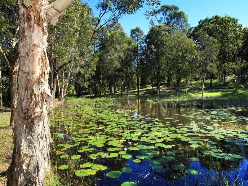 37 Redwood Road, Doonan QLD 4562