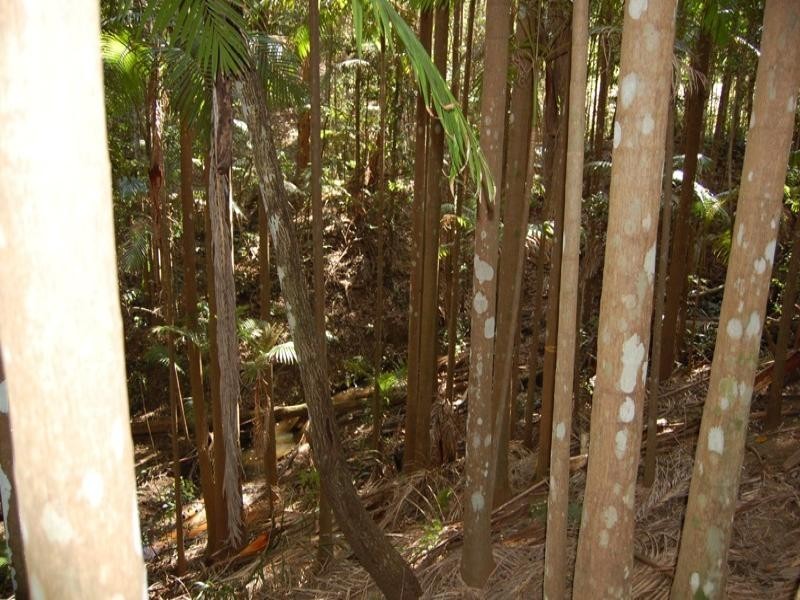 13 Naturalist Place, Doonan QLD 4562