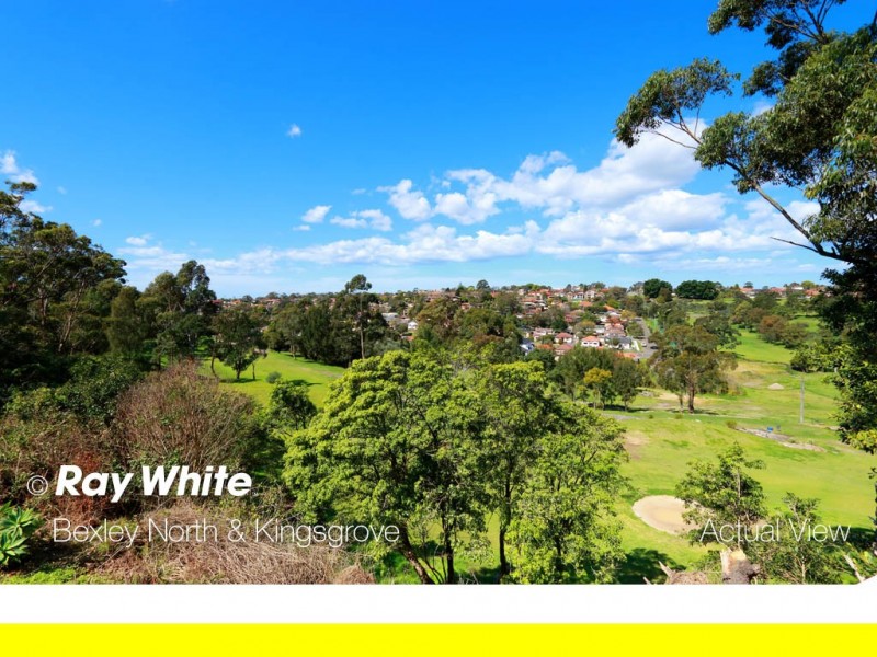 18 Pile Street North, Bardwell Park NSW 2207