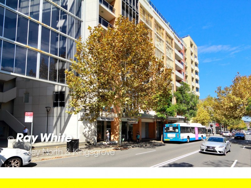 251/806 Bourke Street, Waterloo NSW 2017