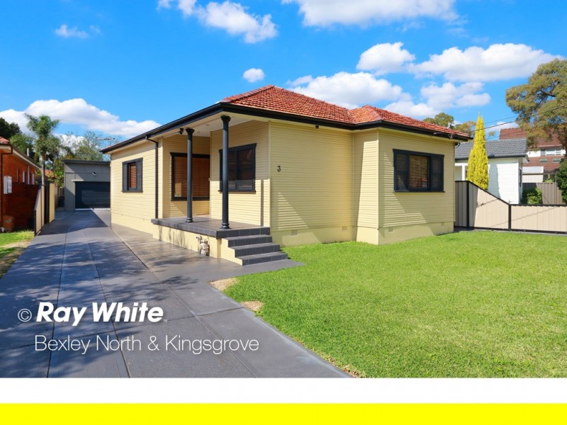 3 Reid Avenue, Clemton Park NSW 2206
