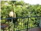 Murwillumbah NSW 2484