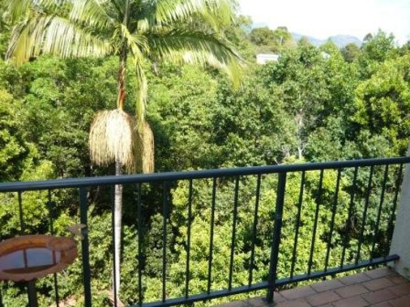 Murwillumbah NSW 2484