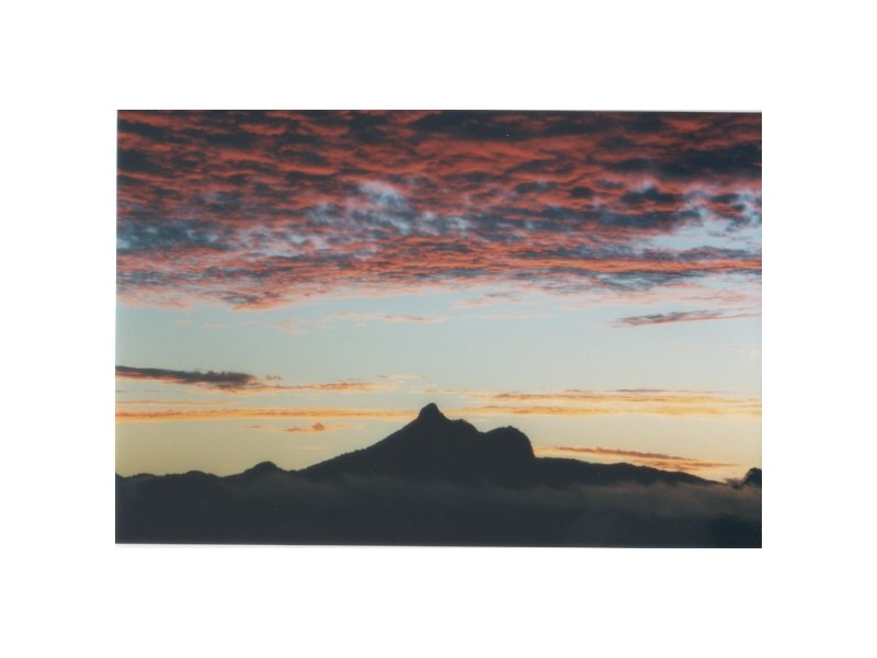 7 Church Street, Murwillumbah NSW 2484