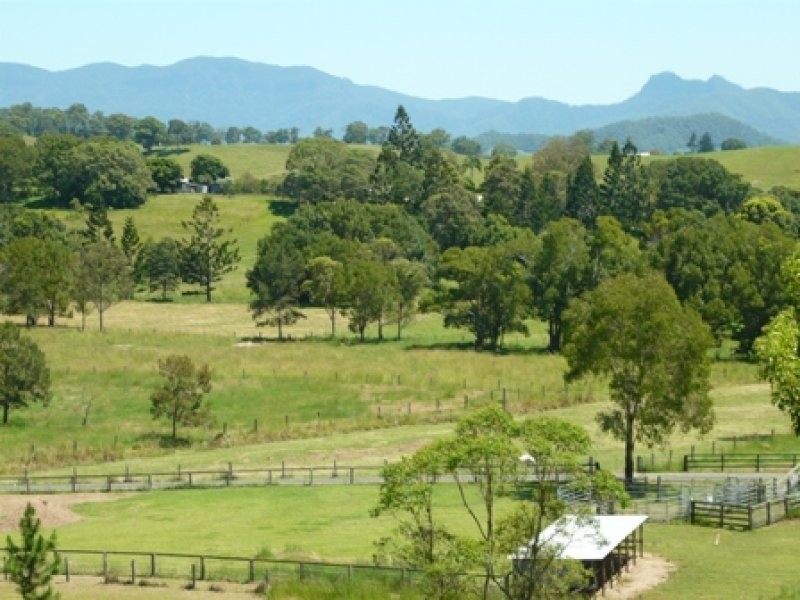 Murwillumbah NSW 2484