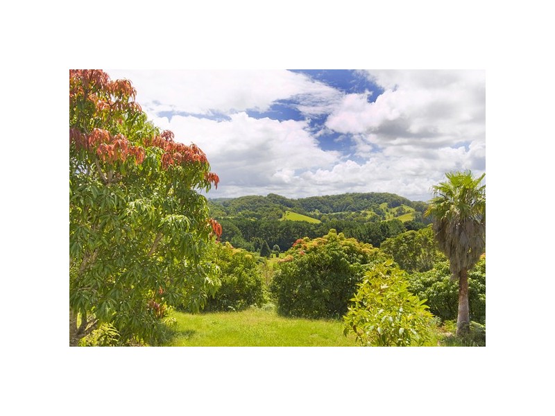 253 Palmvale Road, Murwillumbah NSW 2484