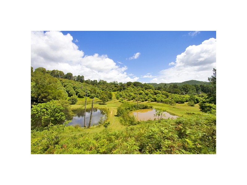 253 Palmvale Road, Murwillumbah NSW 2484