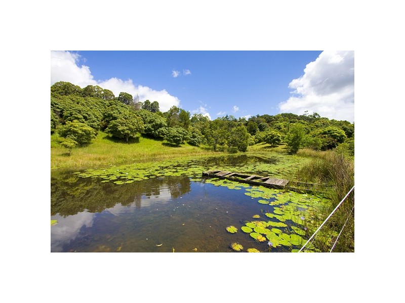 253 Palmvale Road, Murwillumbah NSW 2484