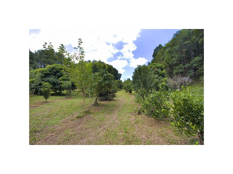 253 Palmvale Road, Murwillumbah NSW 2484