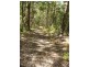 North Tumbulgum NSW 2490