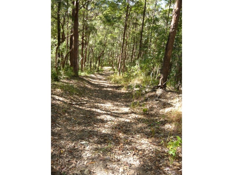 North Tumbulgum NSW 2490