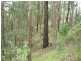 North Tumbulgum NSW 2490