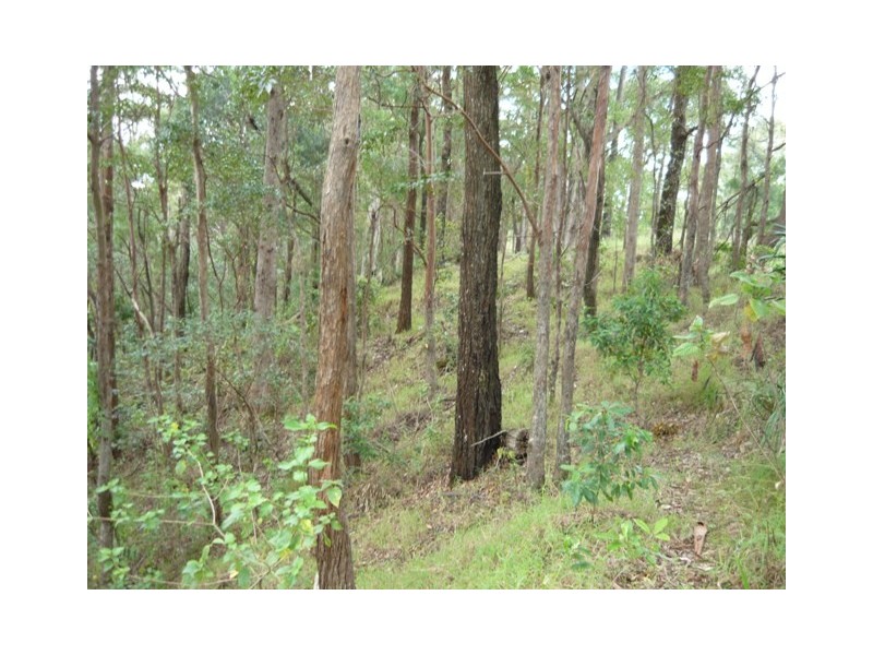 North Tumbulgum NSW 2490