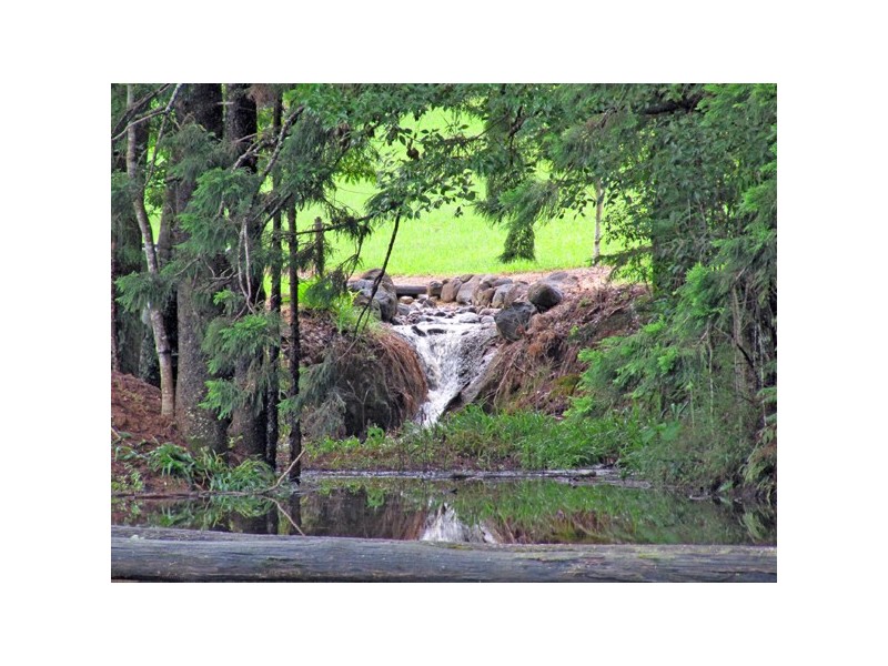 250 Tyalgum Road, Murwillumbah, Eungella NSW 2484